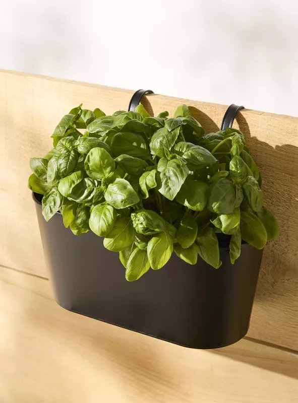 Metallic Hanging Planter
