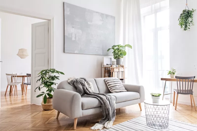 Stylish living room