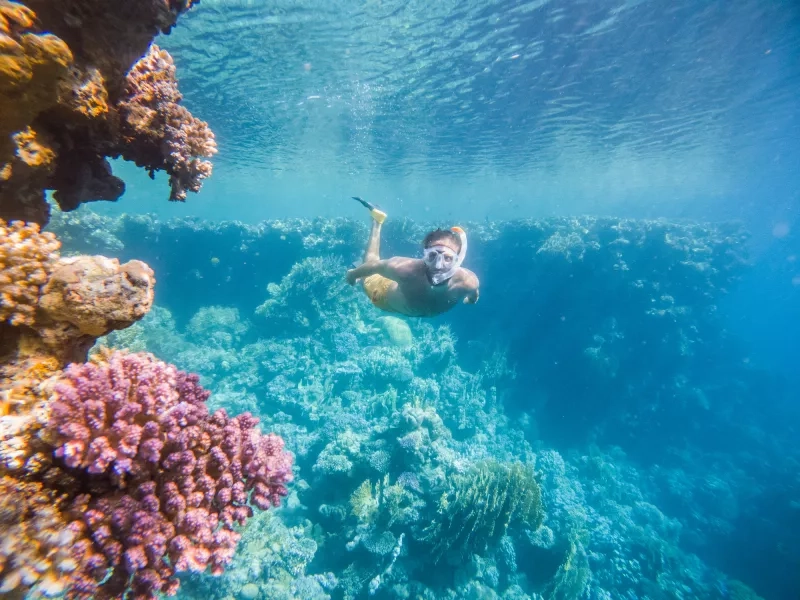 Swimming in Maldives