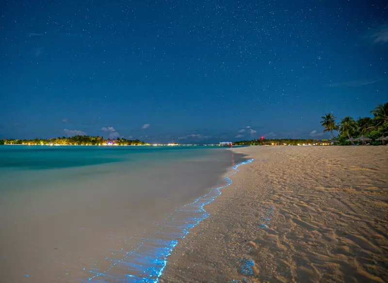 Bio luminescence. Illumination of plankton at Maldives.