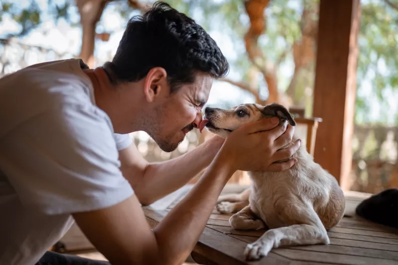 dog licks a young man's nose