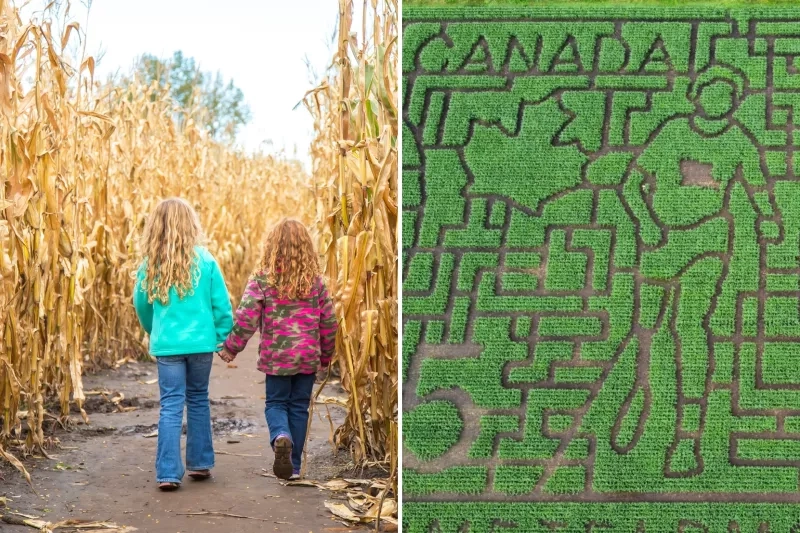 corn mazes around Ottawa