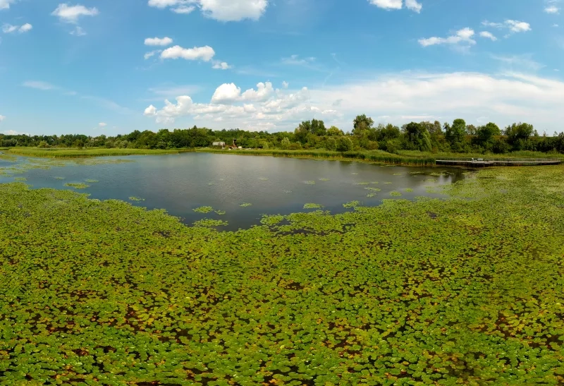 Rouge National Urban Park