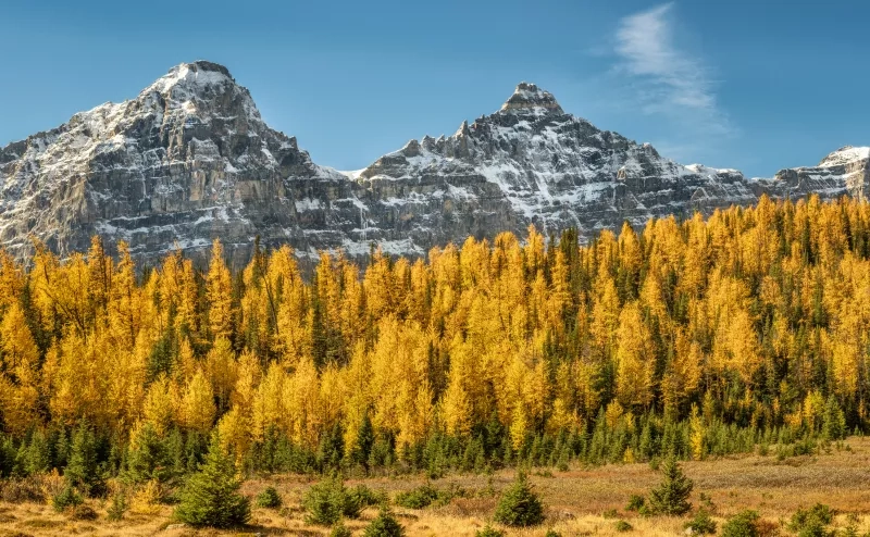 Autumn Larch Valley hike 