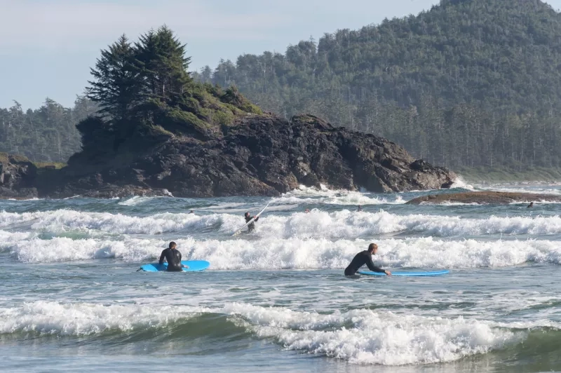 Surfers on Chesterman beach