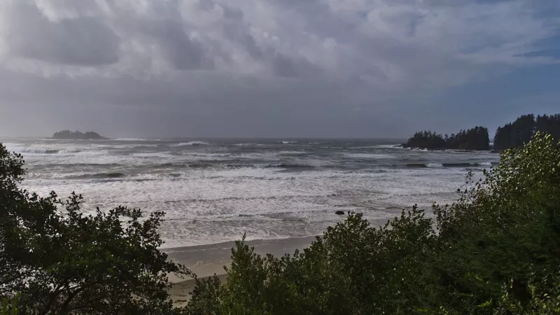  Florencia Bay 