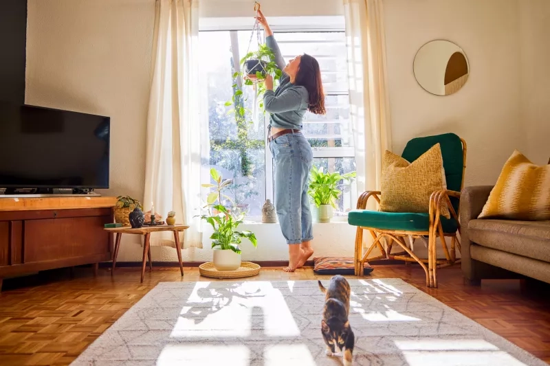 hanging plants