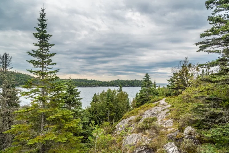 Trees, rocks and water of Superior Lake