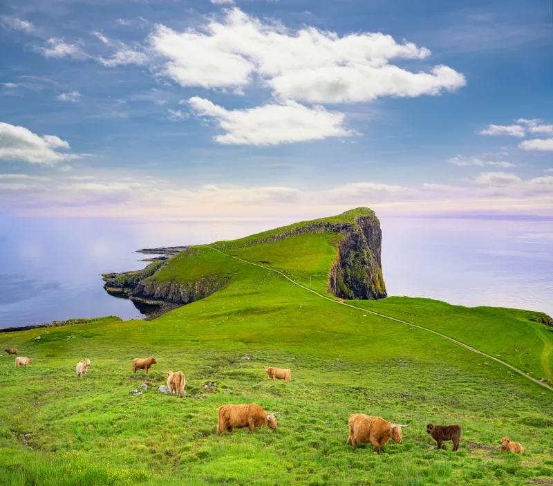 Skye island Nest Point