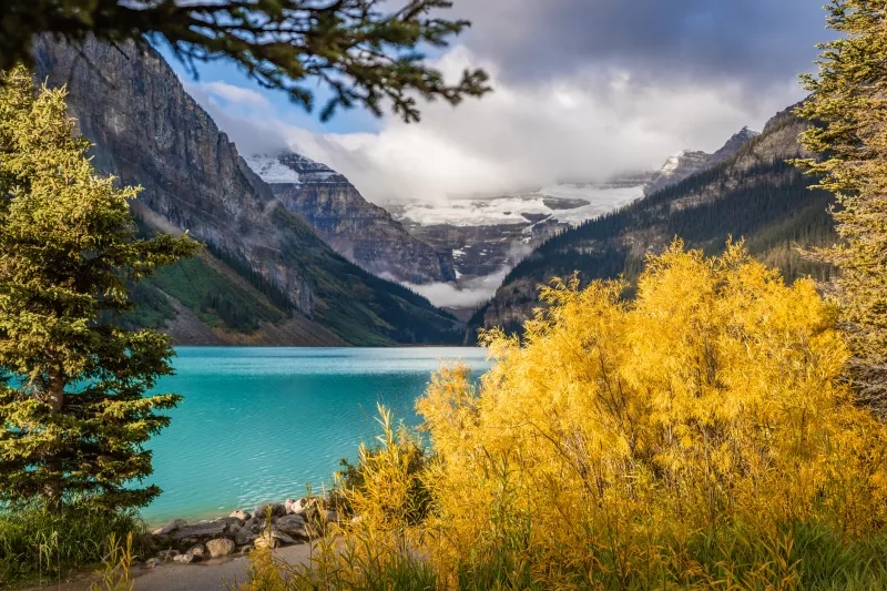 Lake Louise through foliage