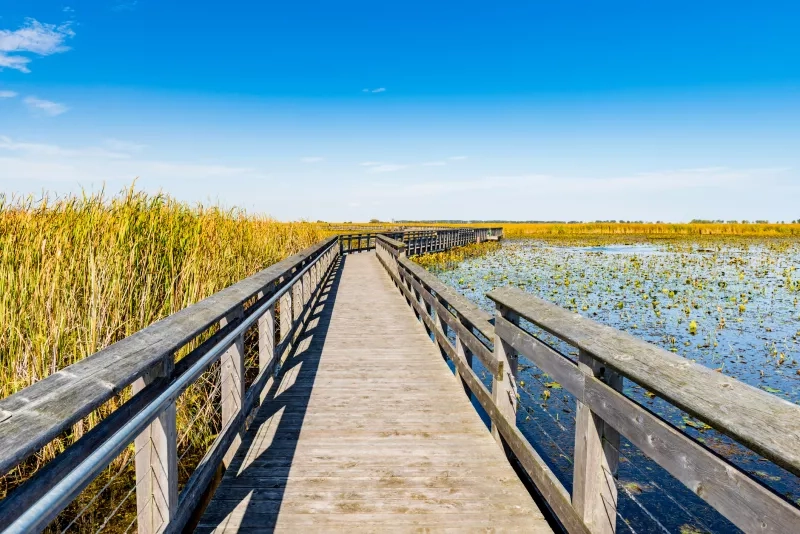 Point Pelee National Park