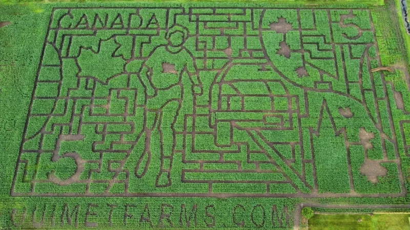Ouimet Farms