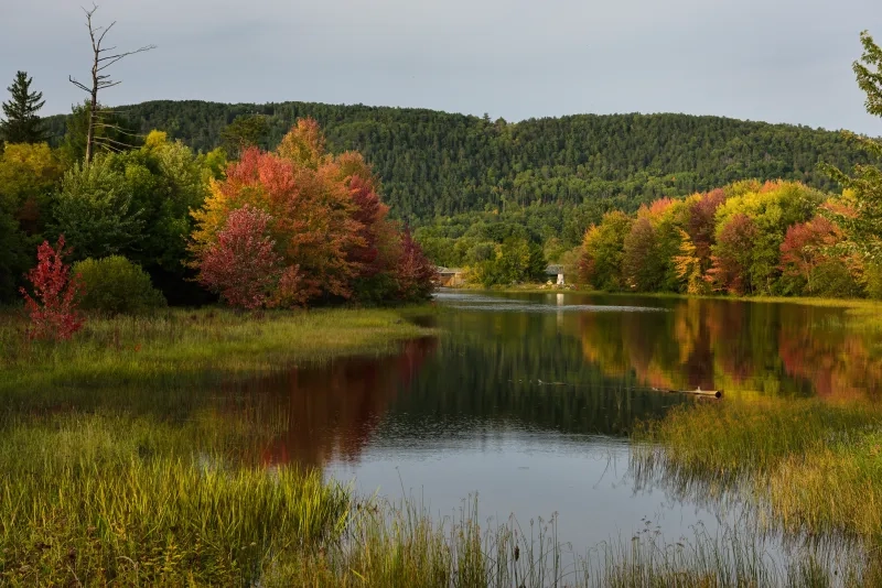 Fall colors on the Mattawa River at Mattawa island 