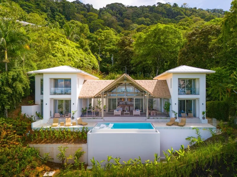 Casa Frenchie