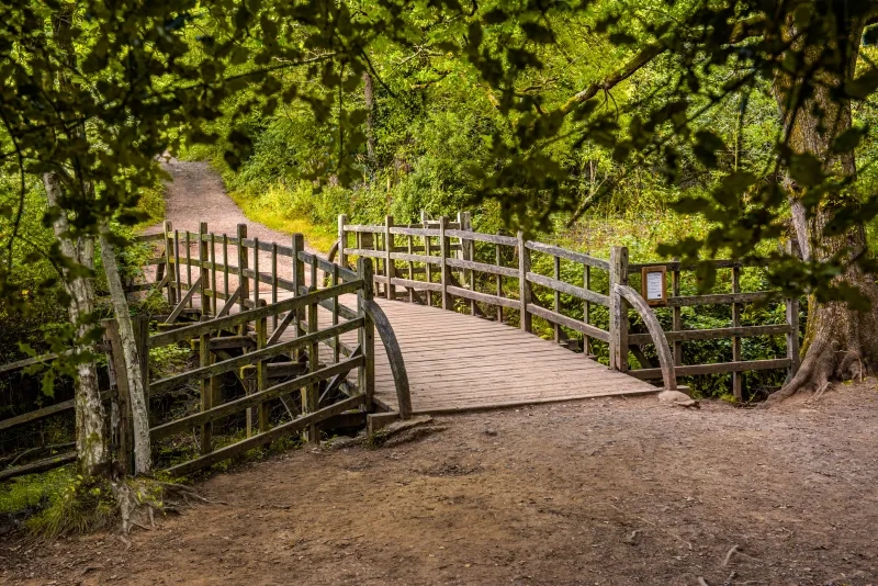 Pooh Bridge