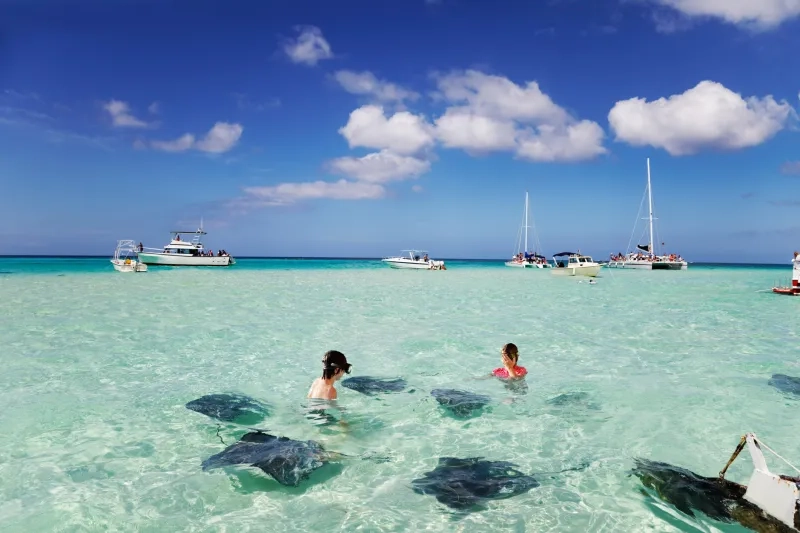 stingrays at the sandbar off Grand Cayman