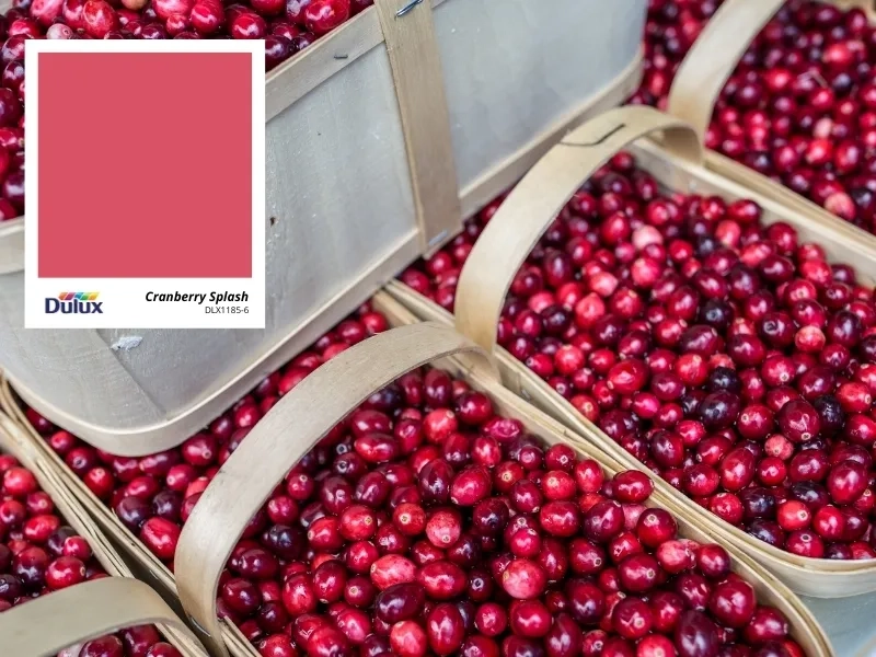 cranberry splash
