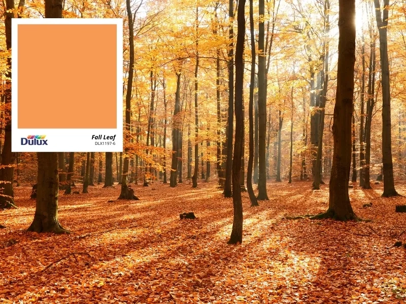 Fall Leaf