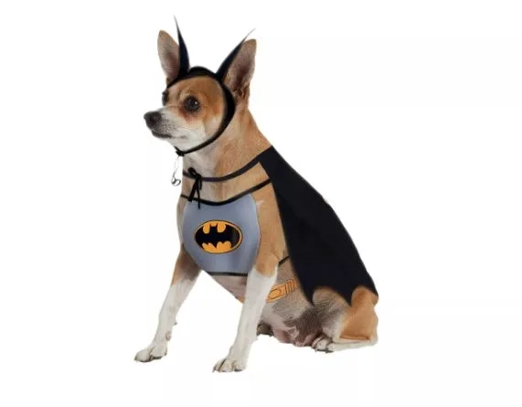 batman costume
