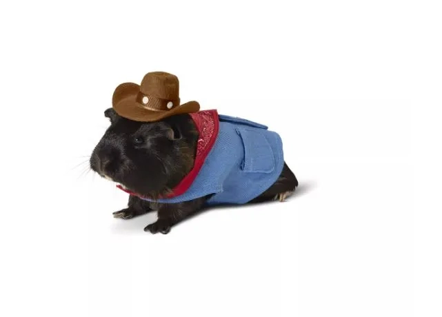 cowboy pet costume