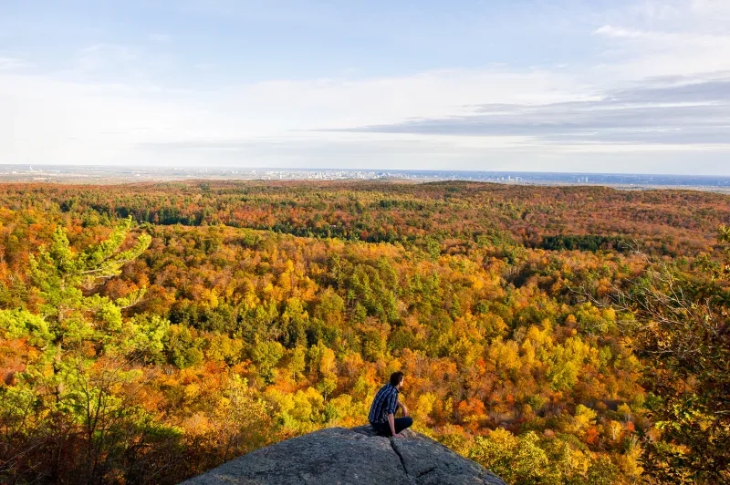Fall lookout