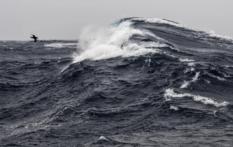 Drake Passage wave