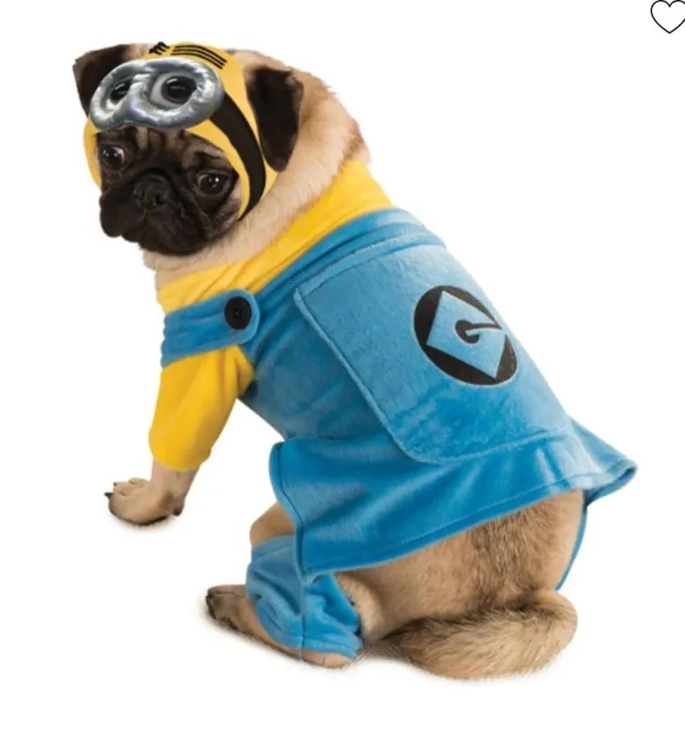minions costume