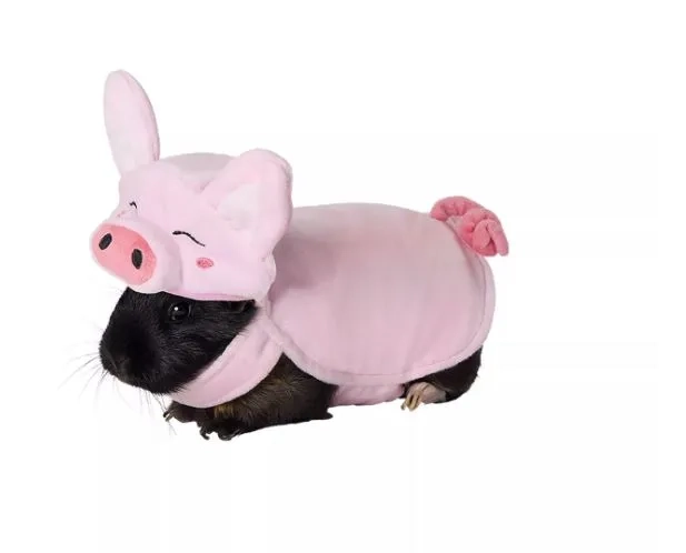 Pig Costume