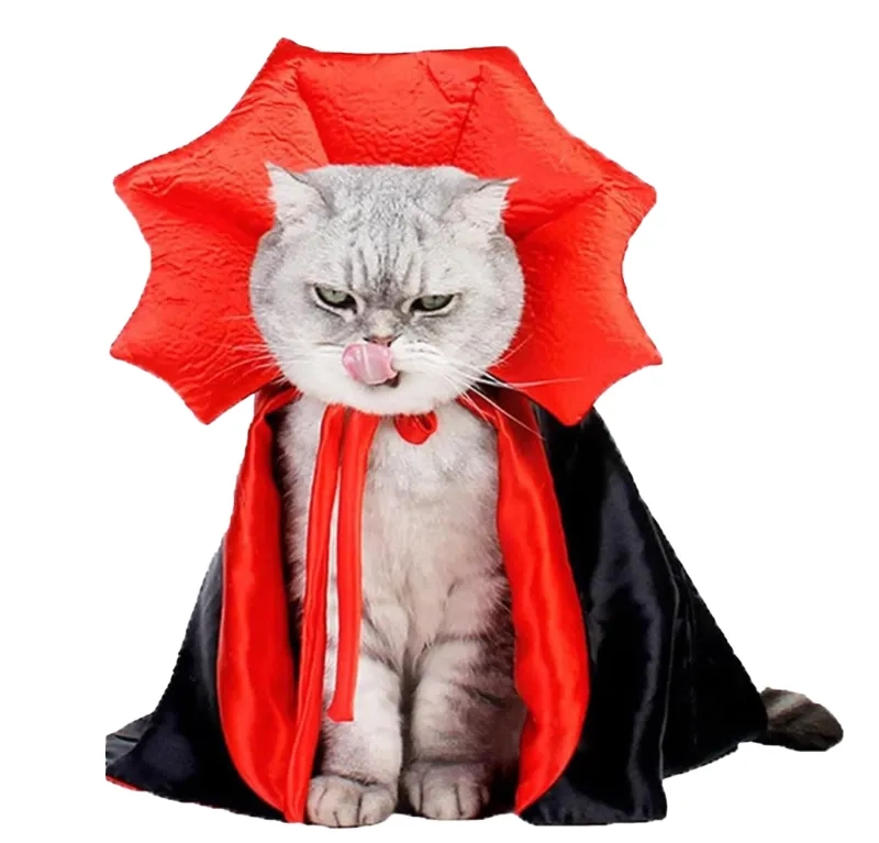 vampire cat costume