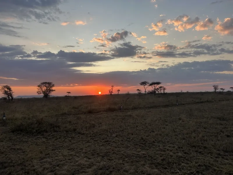 sunset while on safari