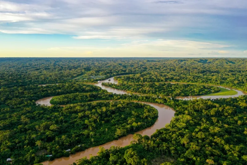 Aerial view over a tropical forest