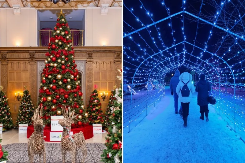Christmas tree and trail of Christmas lights