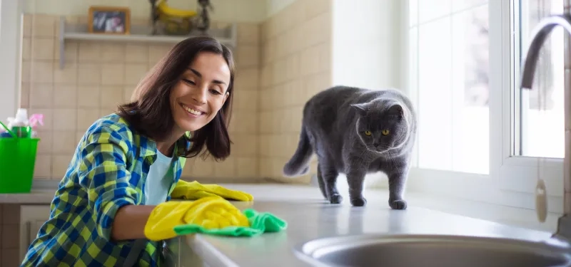woman in yellow gloves is cleaning the kitchen