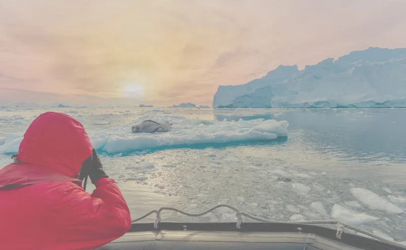 Antarctic tourists watch a leopard seal 
