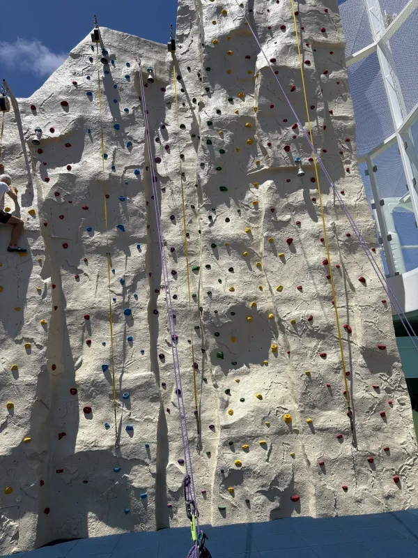 rock climbing wall on Star of the Sea 