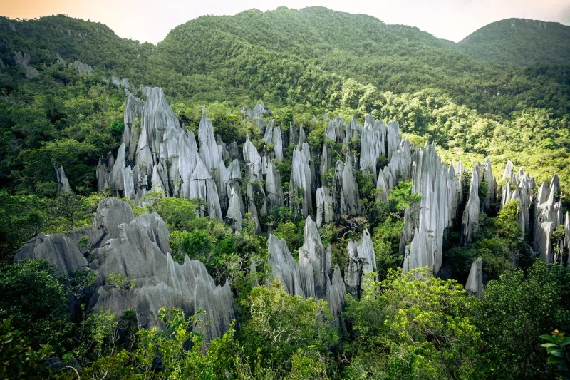 Rock pinnacles in the jungle