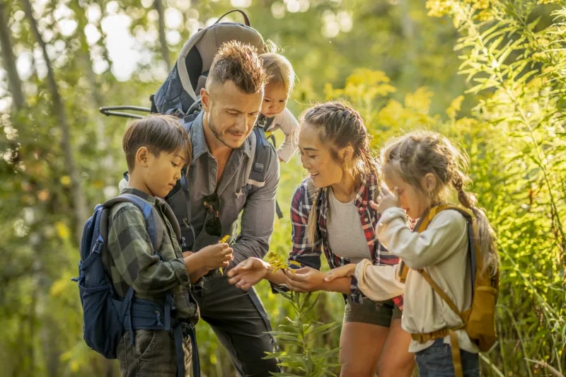 family of five hike together in the woods as they look more closely at the nature around them by looking at leaves 