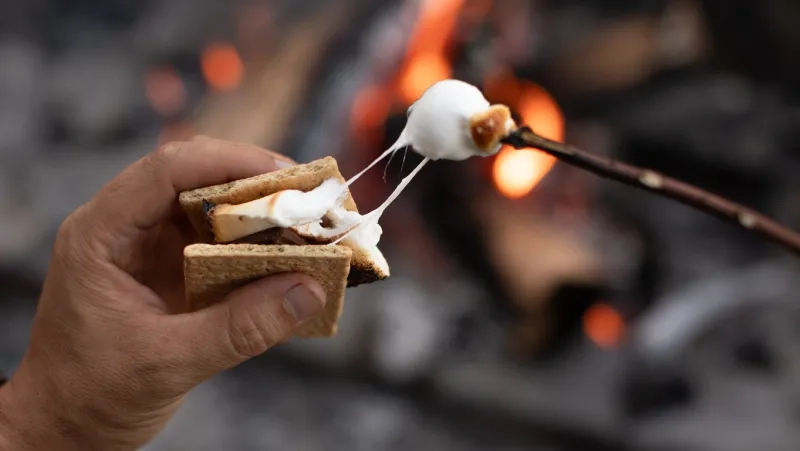 hand holding freshly toasted smores