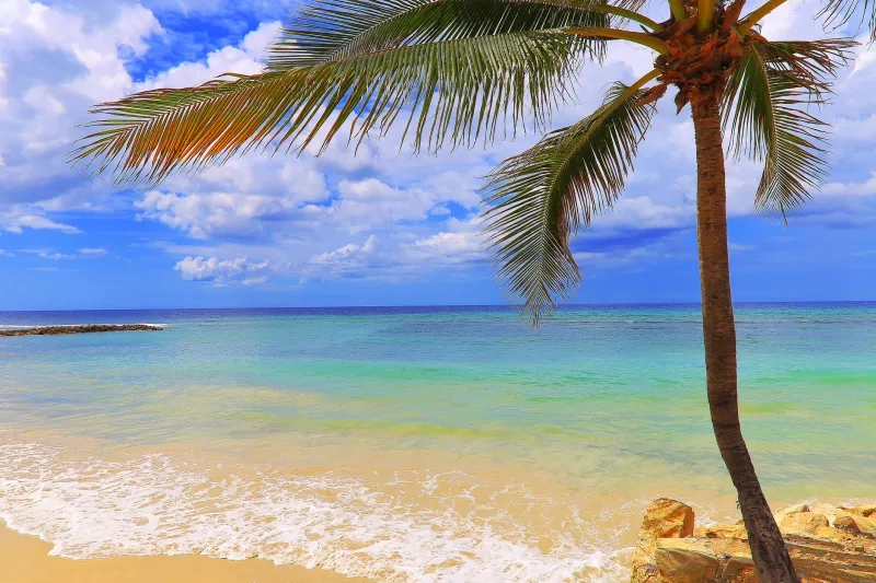 beach in Montego Bay, Jamaica