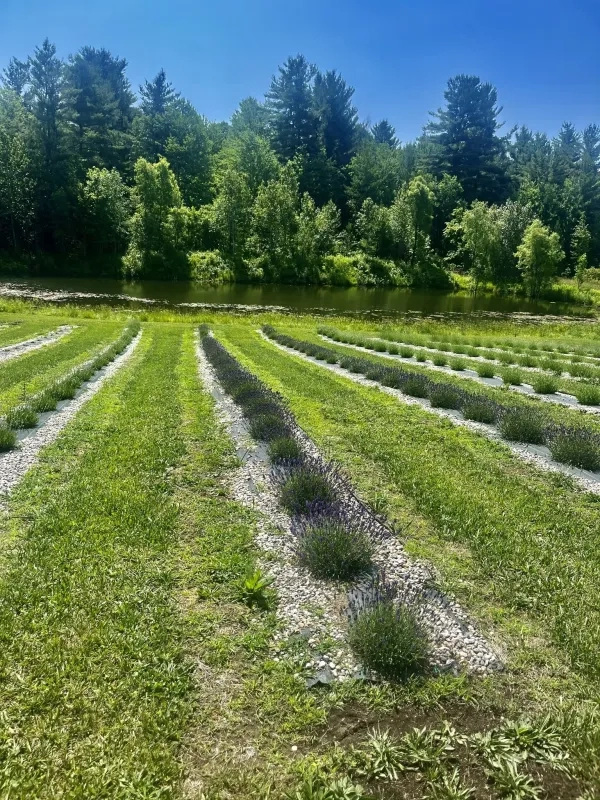 Aflori Acres 