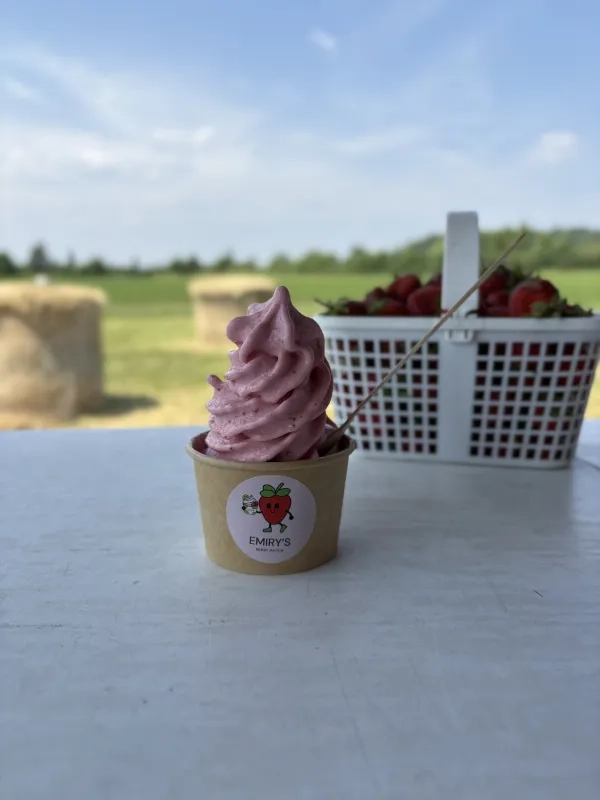 ice cream and berries at Emiry’s Berry Patch