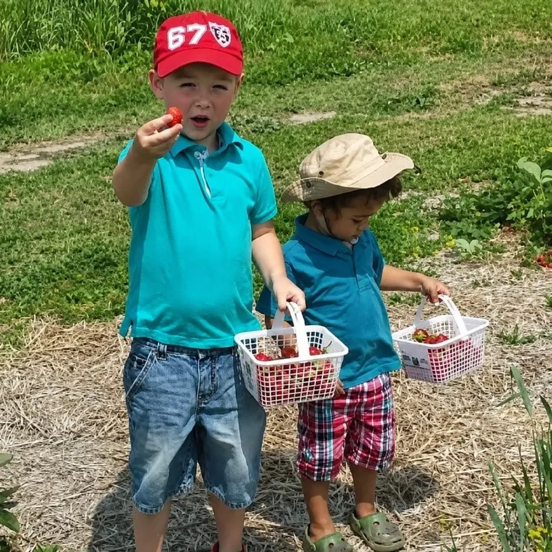 two kids with baskets of strawberries at Foster Family Farm 
