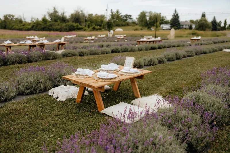  Lavender Mills Farm