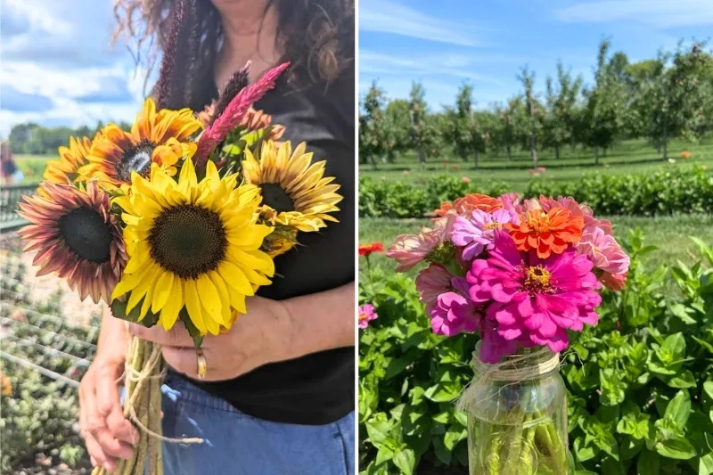 u-pick flower farms around Ottawa