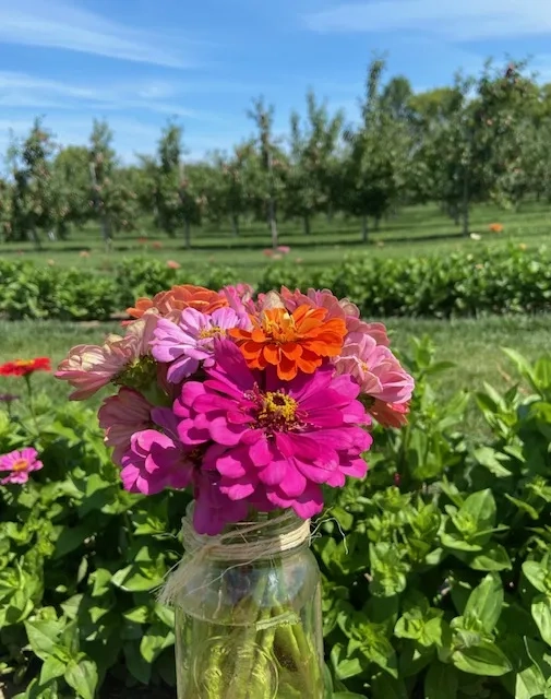 flowers from McGregor’s Orchard 