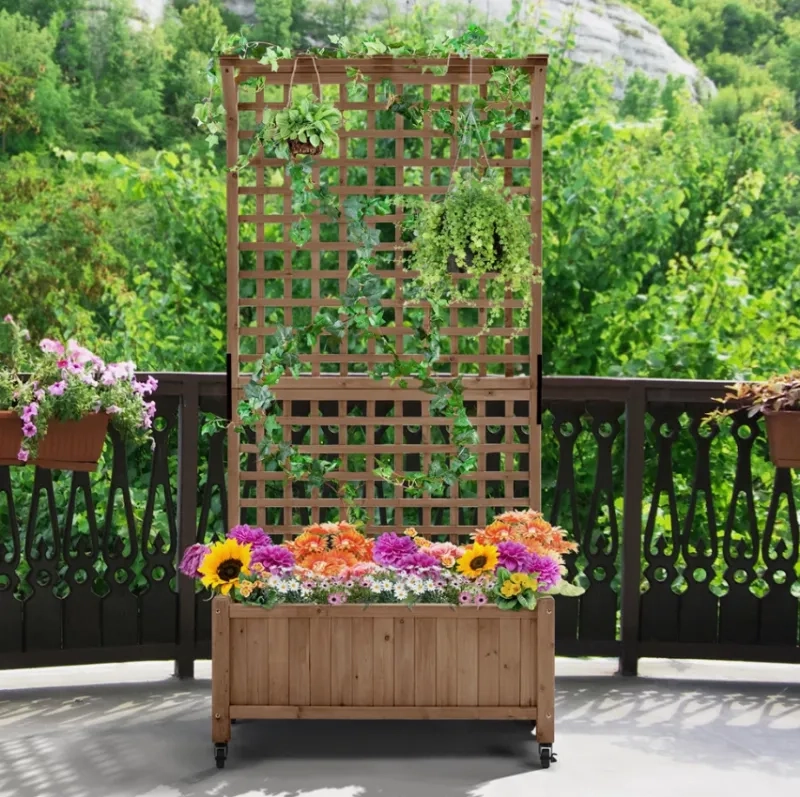 Yanine fir wood planter box with trellis