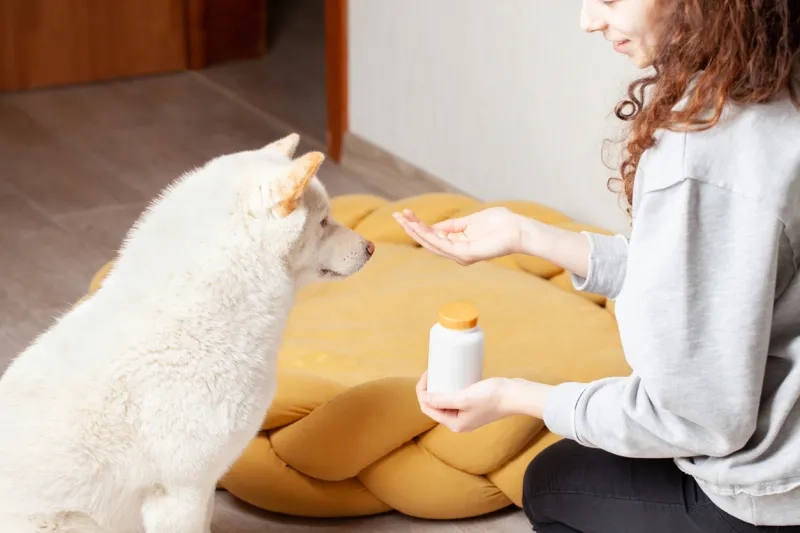 Woman holding pill for dog
