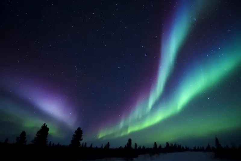 Nightsky lit up with aurora borealis, northern lights, Wapusk National Park, Manitoba, Canada.