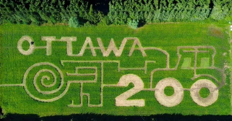 Saunders Farm corn maze