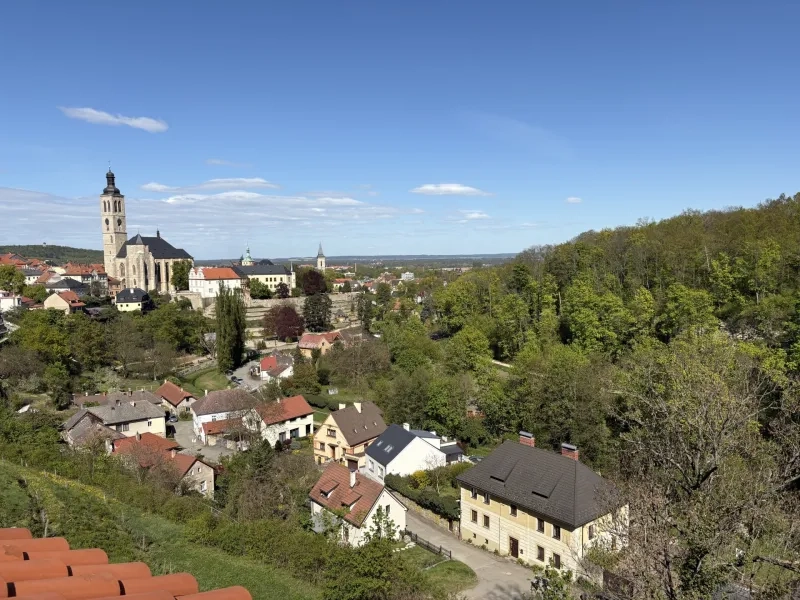 Kutná Hora view from above